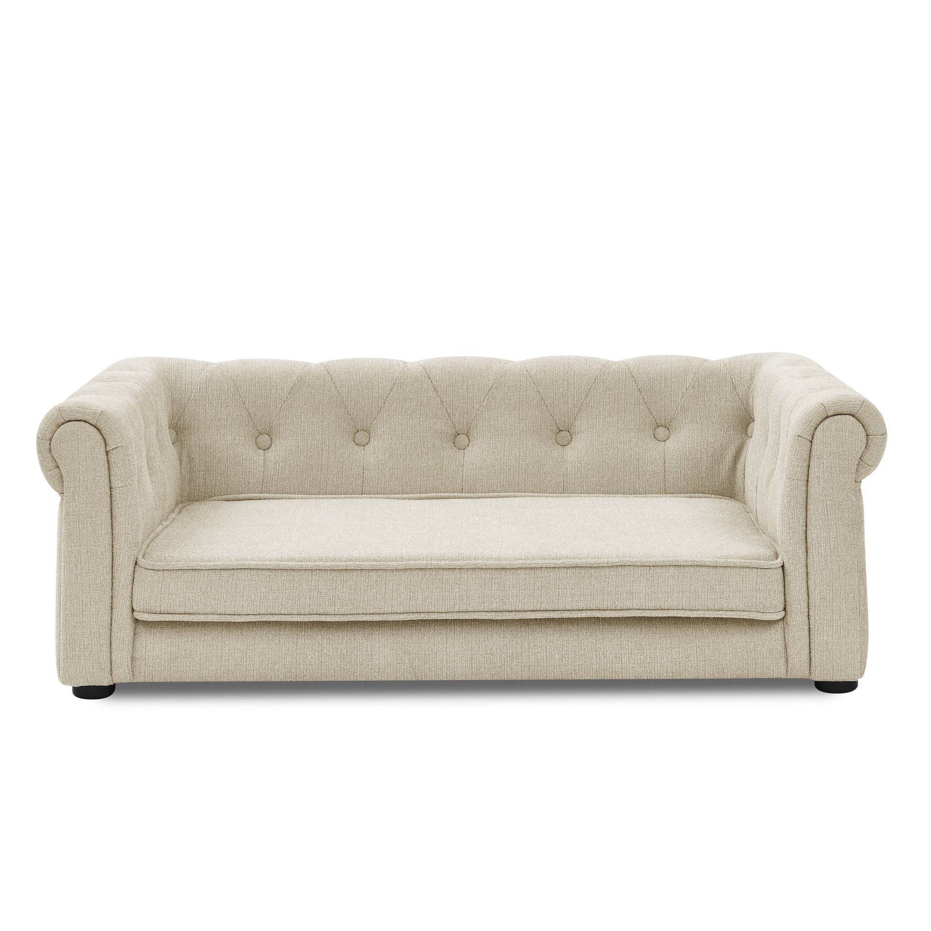 Modern Elegant Rectangle Elevated Pet Bed