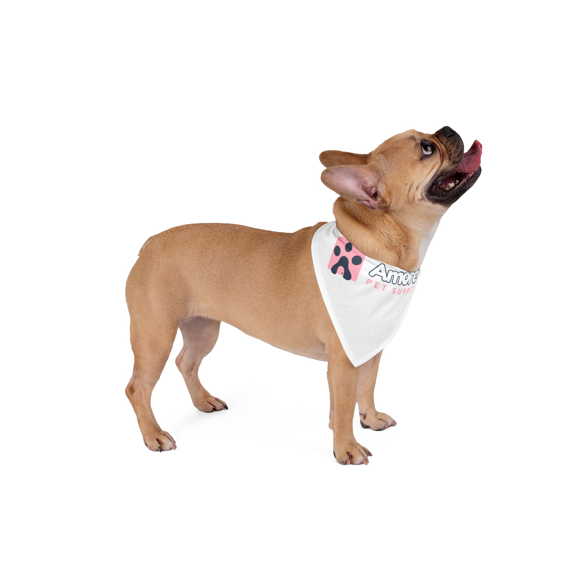 Pet Bandana — Amore Pet Supply Logo Dog & Cat Bandana (White)