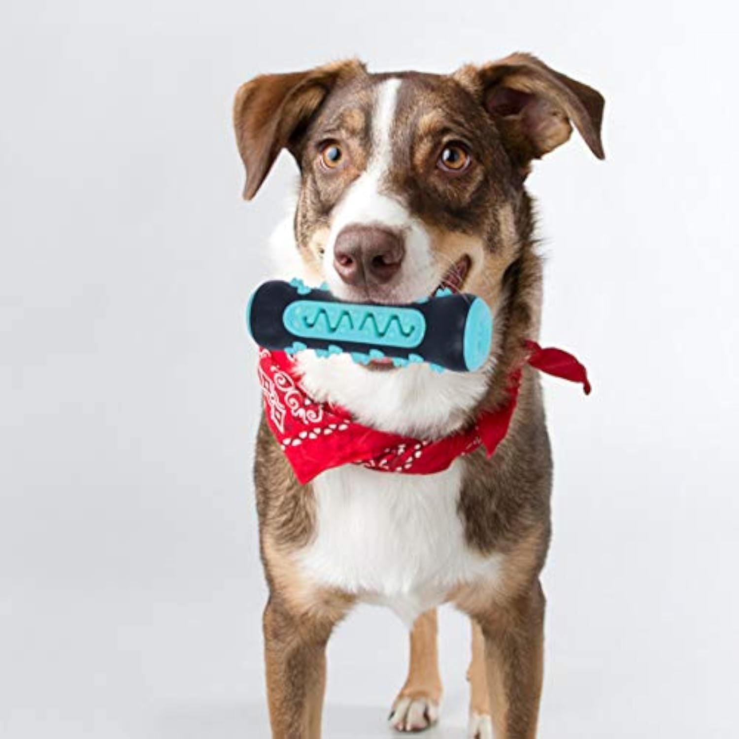 Natural Rubber Dog Toothbrush Chew Toy for Teeth Cleaning Puppies Daily