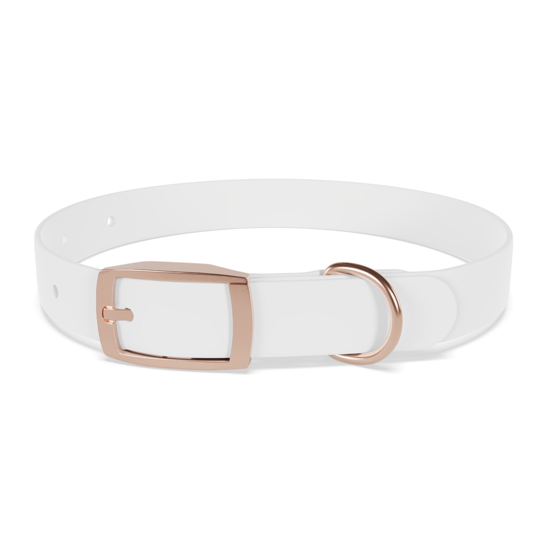 Personalized White Dog Collar — 'Amore Pet Supply' Logo Adjustable Waterproof Collar