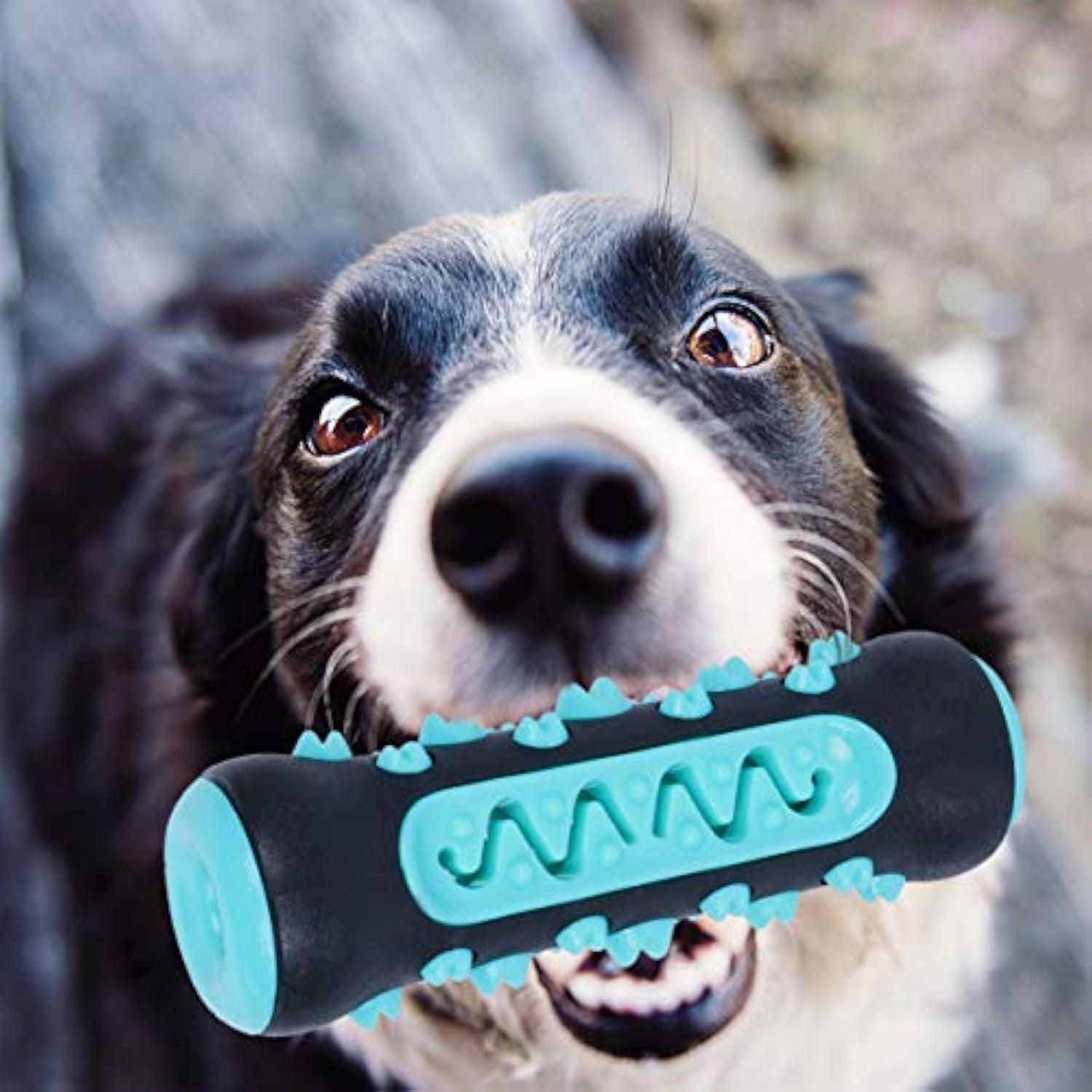 Natural Rubber Dog Toothbrush Chew Toy for Teeth Cleaning Puppies Daily