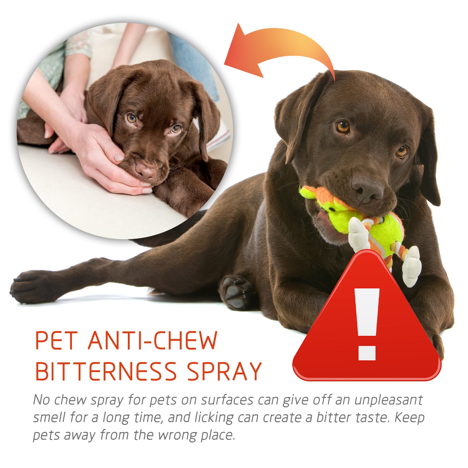 Pet Anti Chew Spray for Dogs Cats Bite Scratching Behavior Training