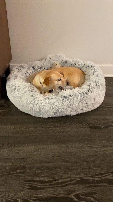 Mr. Peanut's 28-Inch OrthoPlush® Pet Bed – Snowflake White Two-Tone