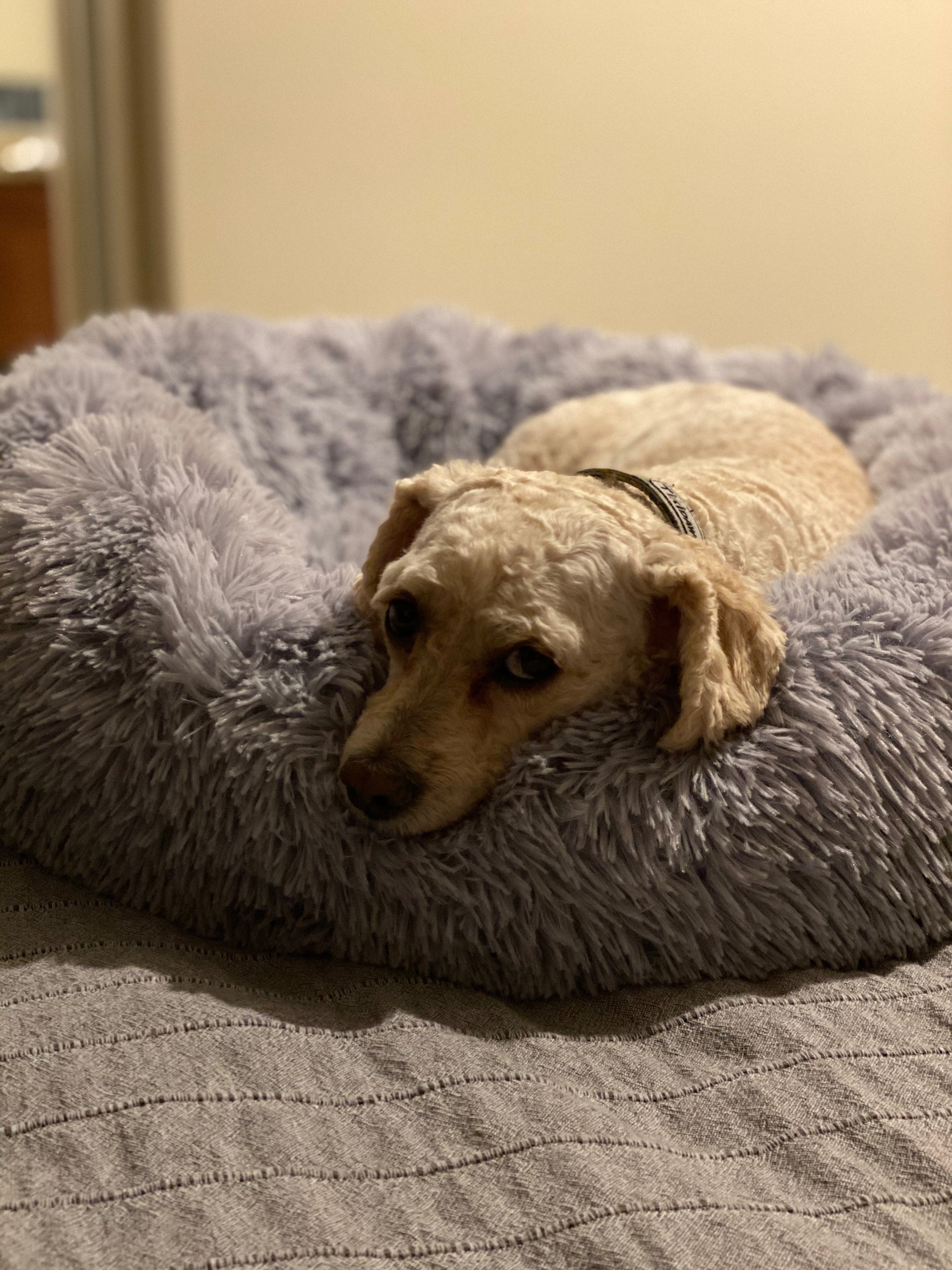 Mr. Peanut's 28-Inch OrthoPlush® Pet Bed – Snowflake White Two-Tone