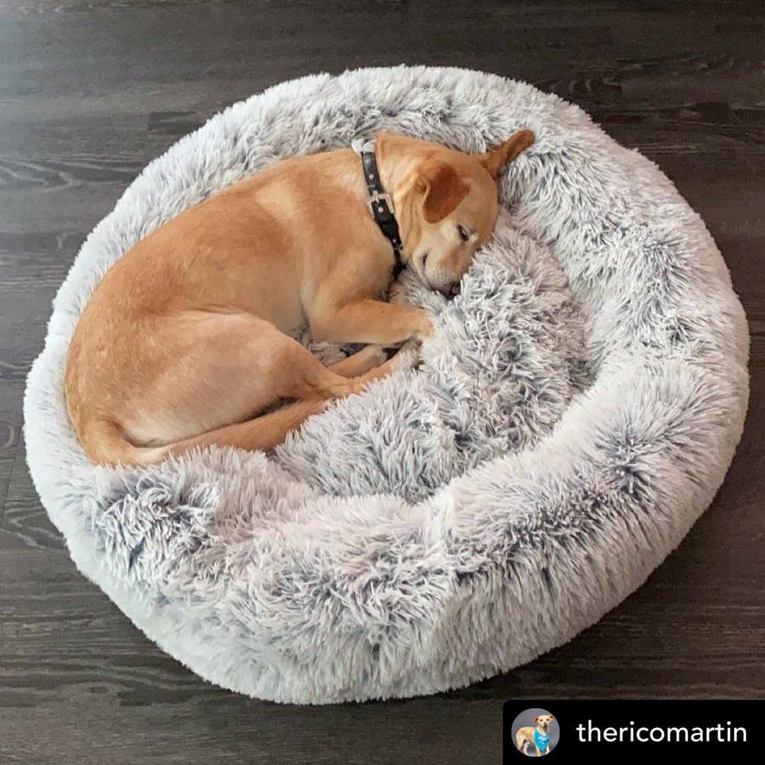 Mr. Peanut's 28-Inch OrthoPlush® Pet Bed – Snowflake White Two-Tone
