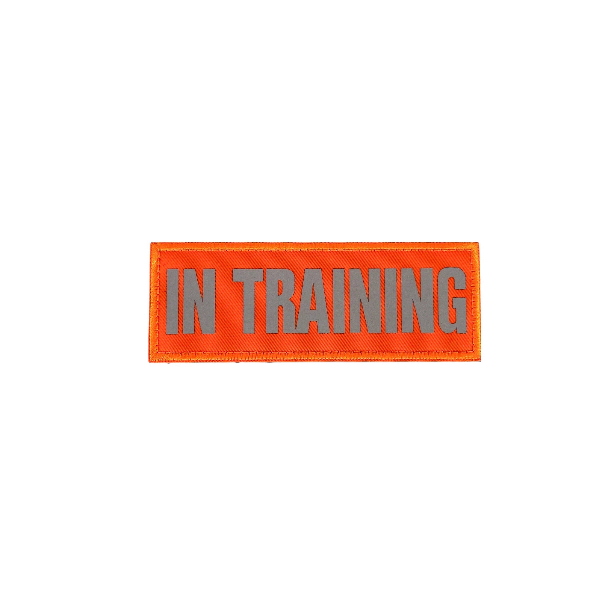 REFLECTIVE HIGH VISIBILITY NEON Tag Patch
