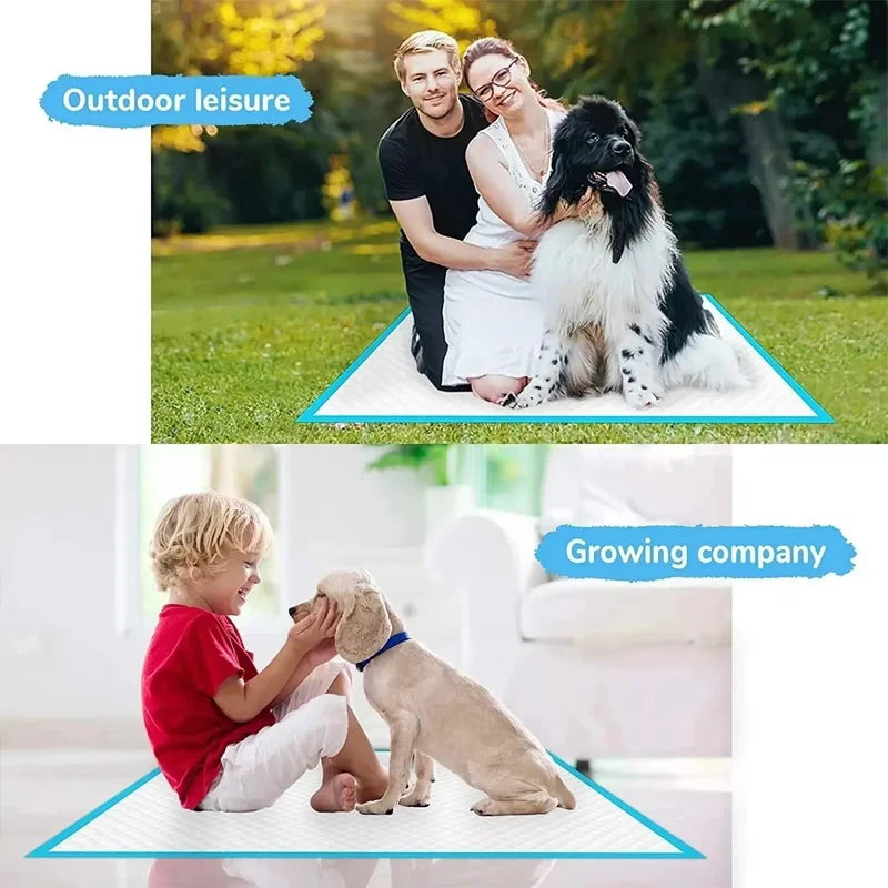 Super Absorbent Disposable Pet Pee Pads Quick Dry Training Protection Sheets