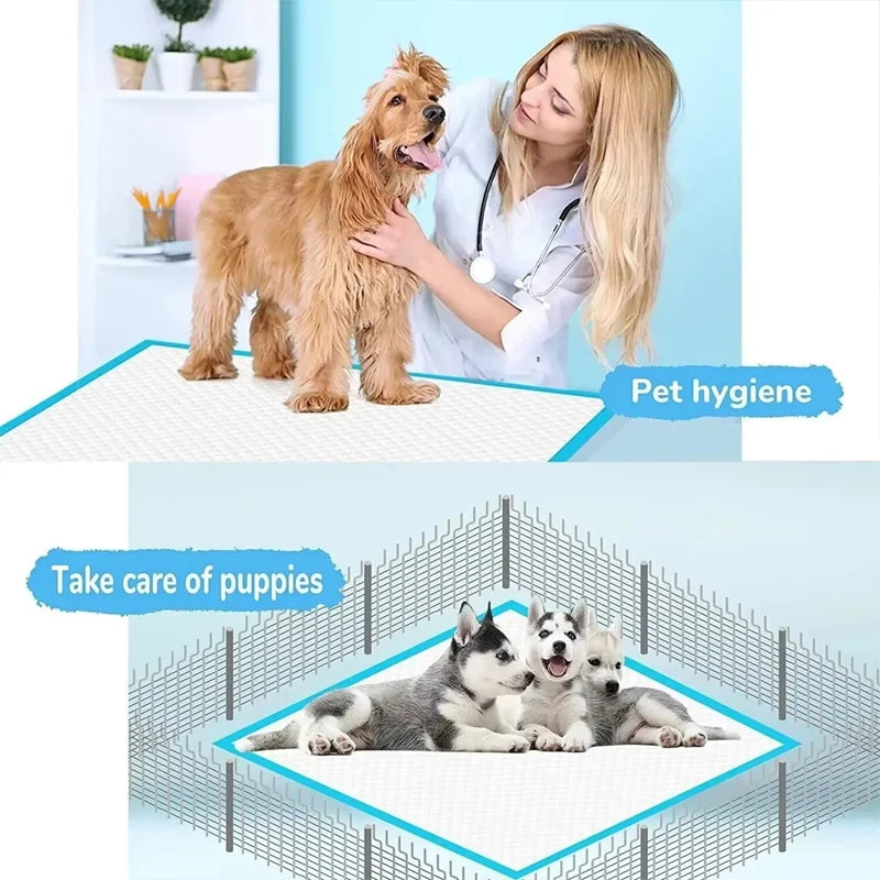 Super Absorbent Disposable Pet Pee Pads Quick Dry Training Protection Sheets