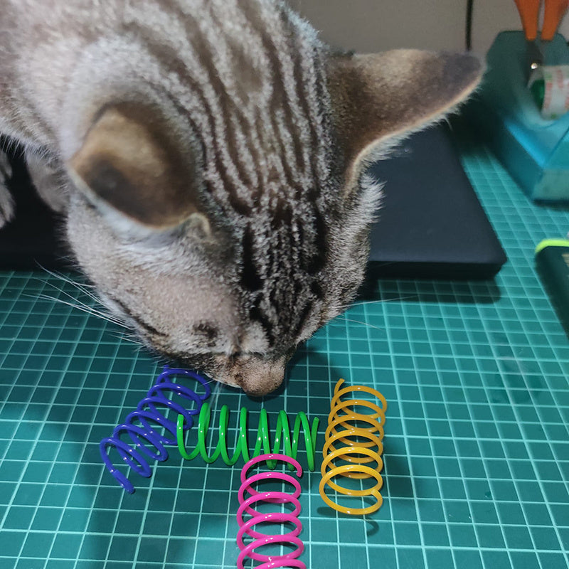 Colorful Spiral Spring Cat Toys Durable Kitten Pet Coil Play Accessories