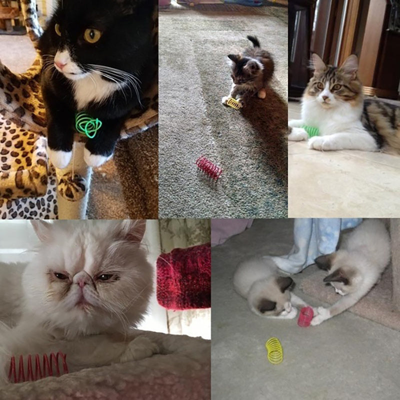 Colorful Spiral Spring Cat Toys Durable Kitten Pet Coil Play Accessories