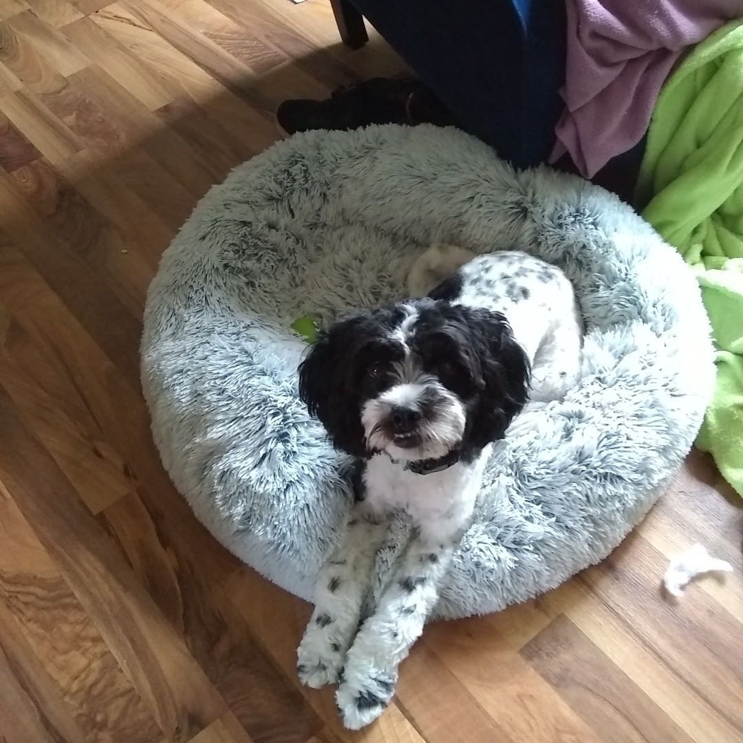 Mr. Peanut's 28-Inch OrthoPlush® Pet Bed – Snowflake White Two-Tone
