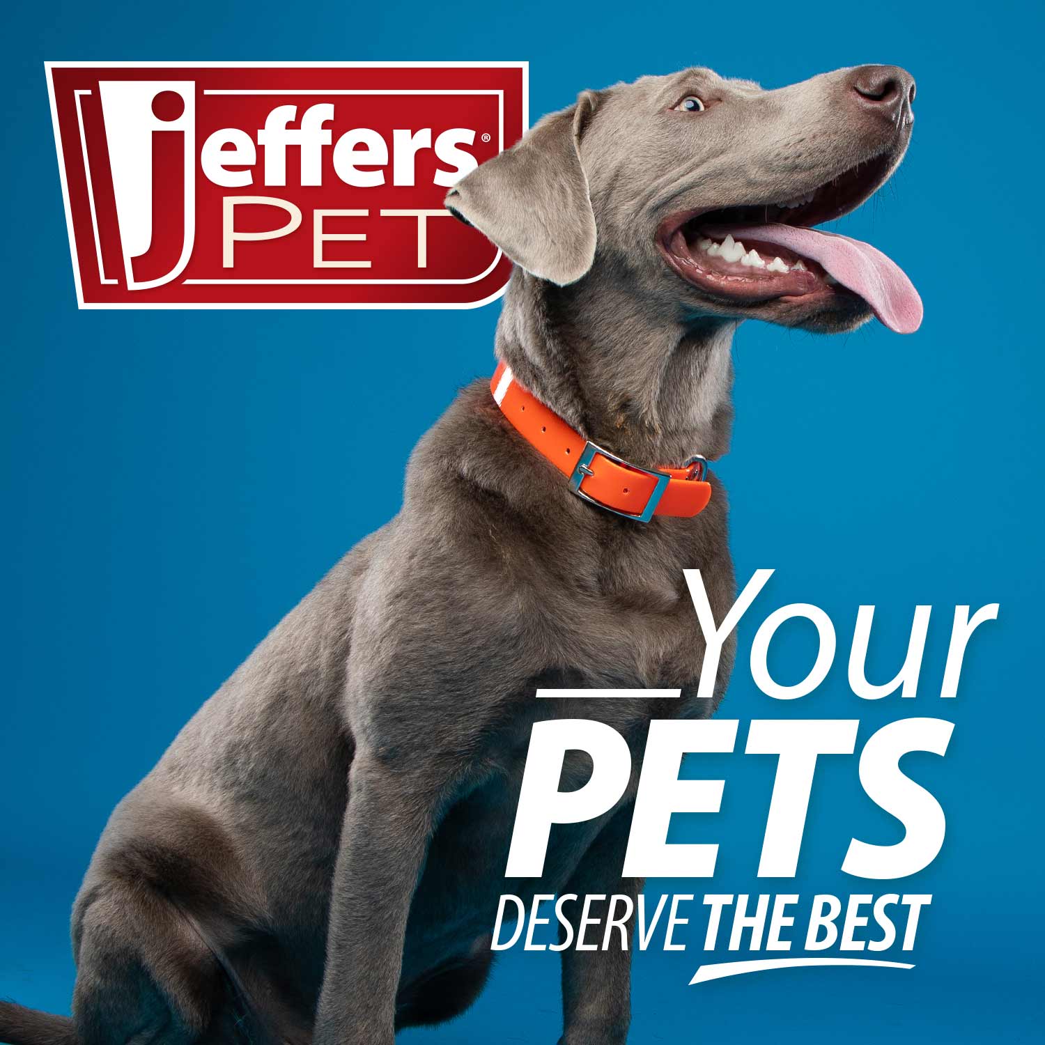 Jeffers Thinnies Unstuffed Plush Dog Toys – 21-Inch Length