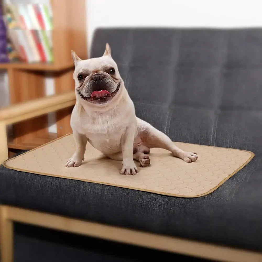 Reusable Waterproof Dog Pee Pads Washable Training Mats for Pets Daily